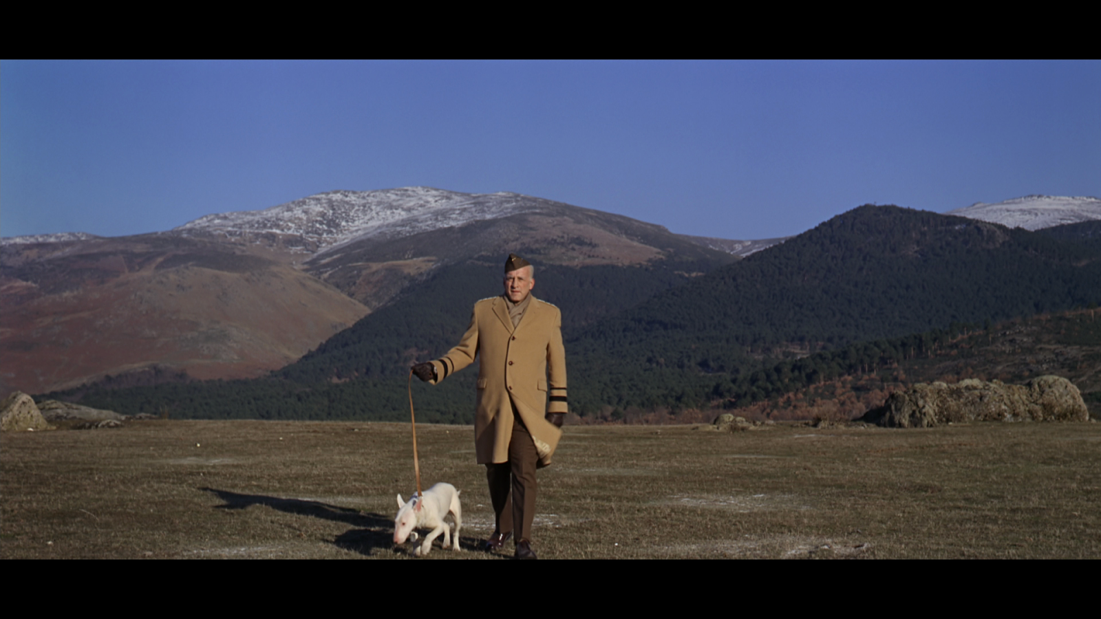 Posted by Dymon Enlow